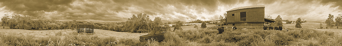 Curious Denizens | East Pasture | Virginia | The Blue Ridge Mountains | James O. Phelps | 360 Degree Panoramic Photograph